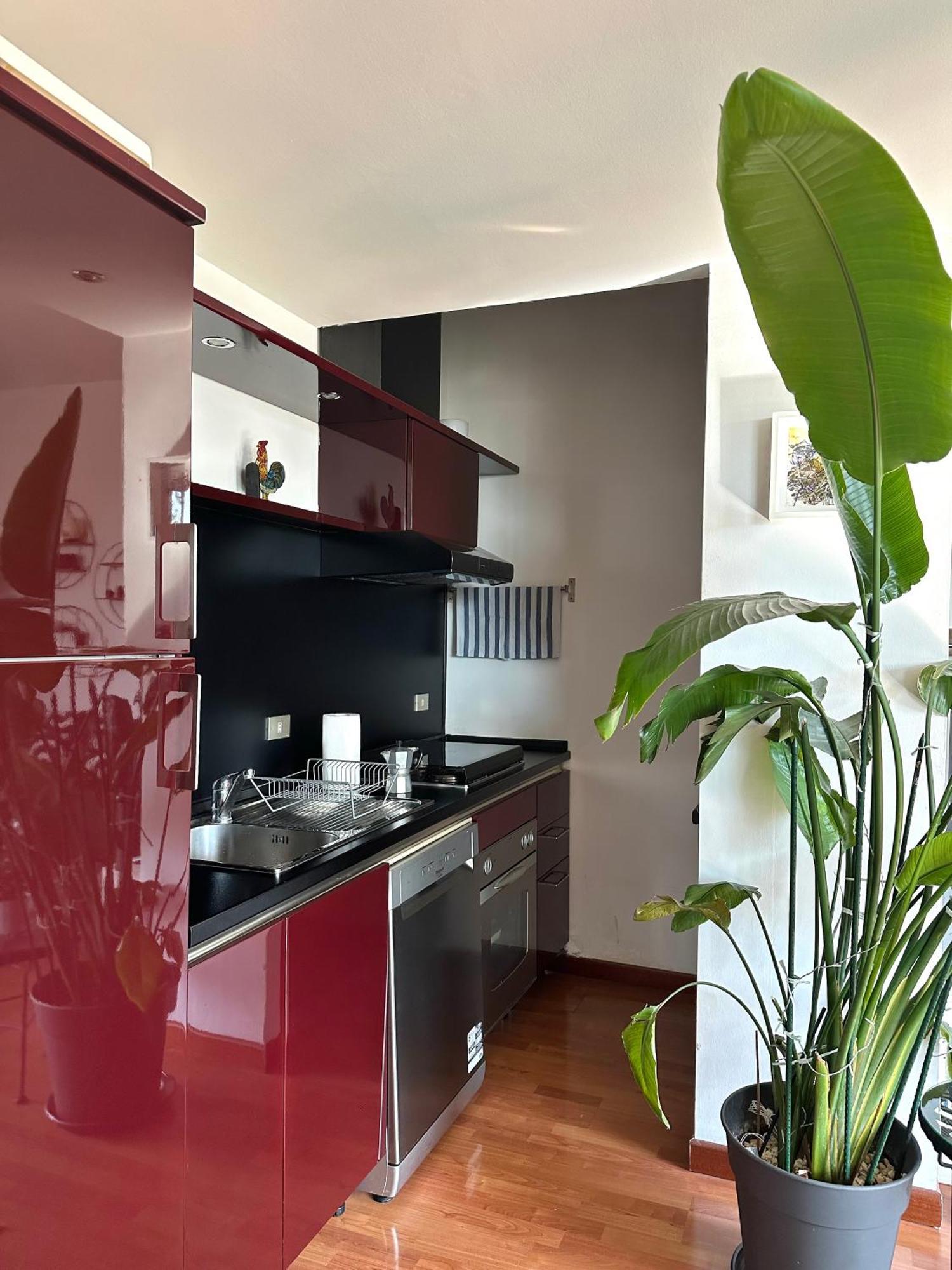 Apartament Urban Jungle - Attico Vista Duomo Mediolan Zewnętrze zdjęcie