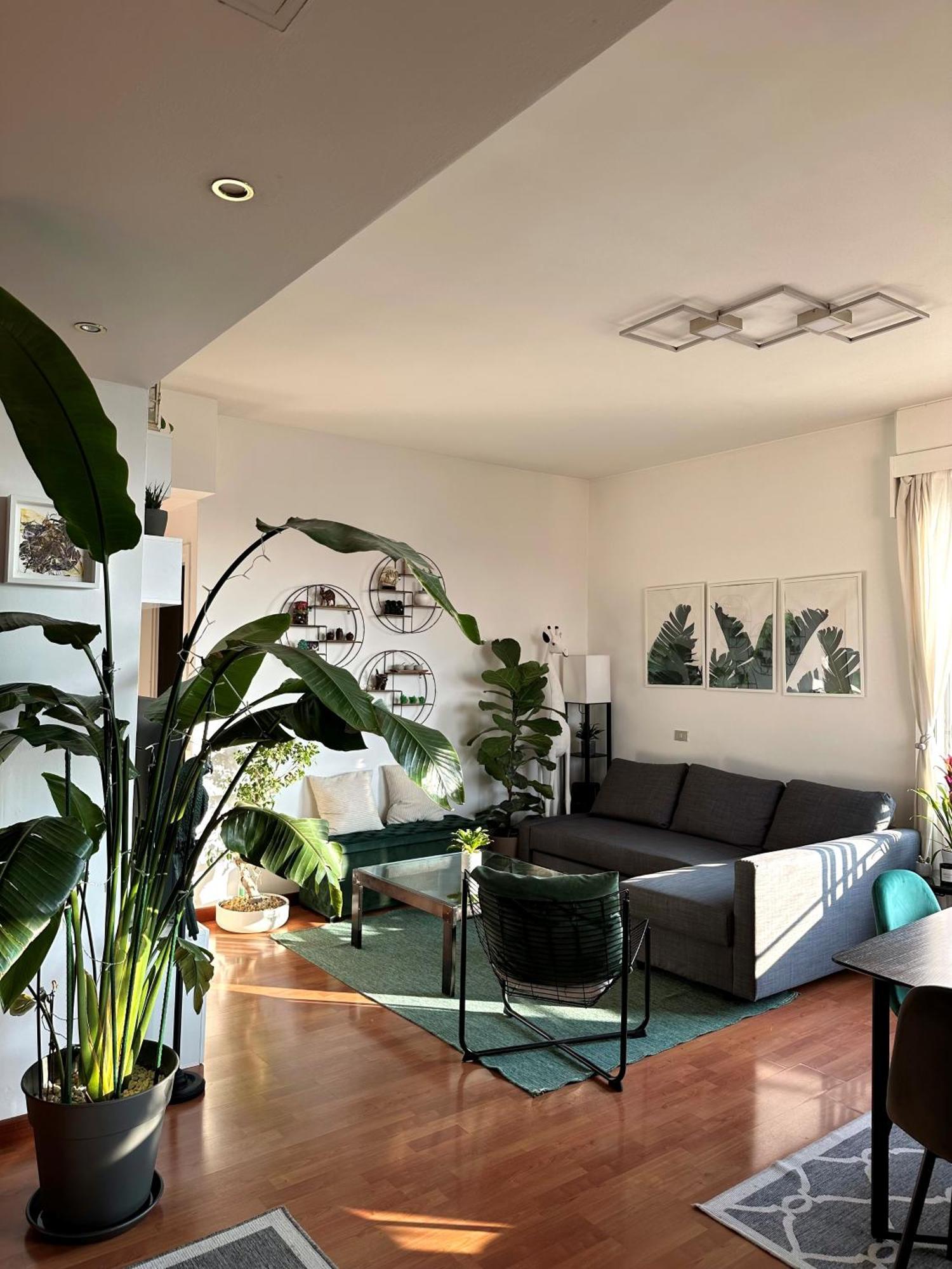 Apartament Urban Jungle - Attico Vista Duomo Mediolan Zewnętrze zdjęcie