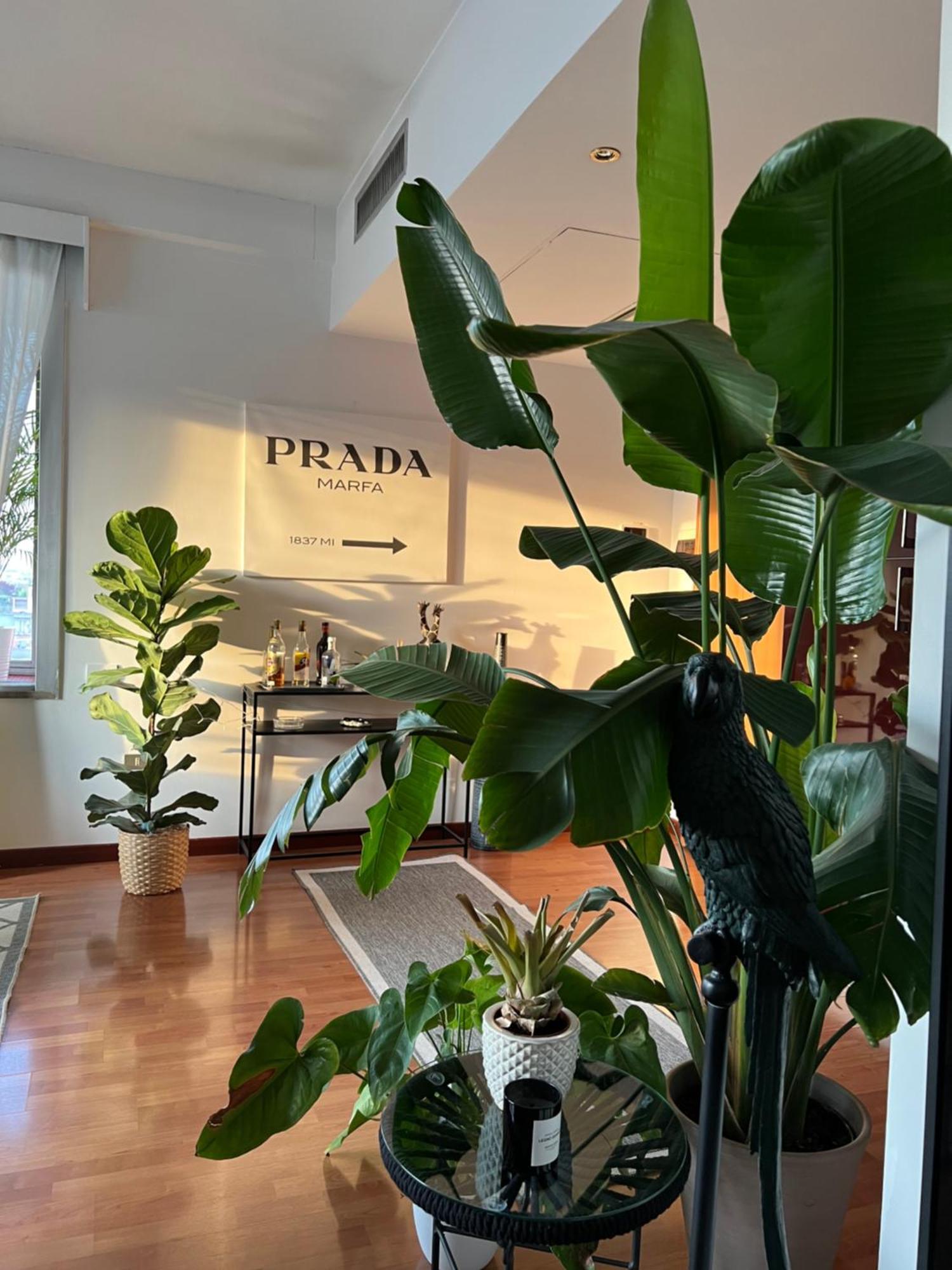 Apartament Urban Jungle - Attico Vista Duomo Mediolan Zewnętrze zdjęcie